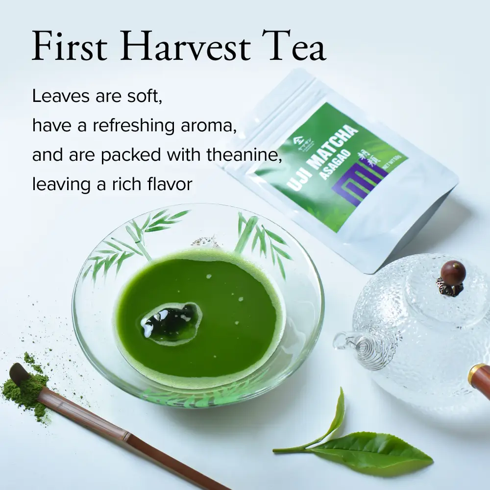 Authentic Japanese Tea Ceremonial Grade Uji Matcha ASAGAO 50g(1.76oz) - Image 5