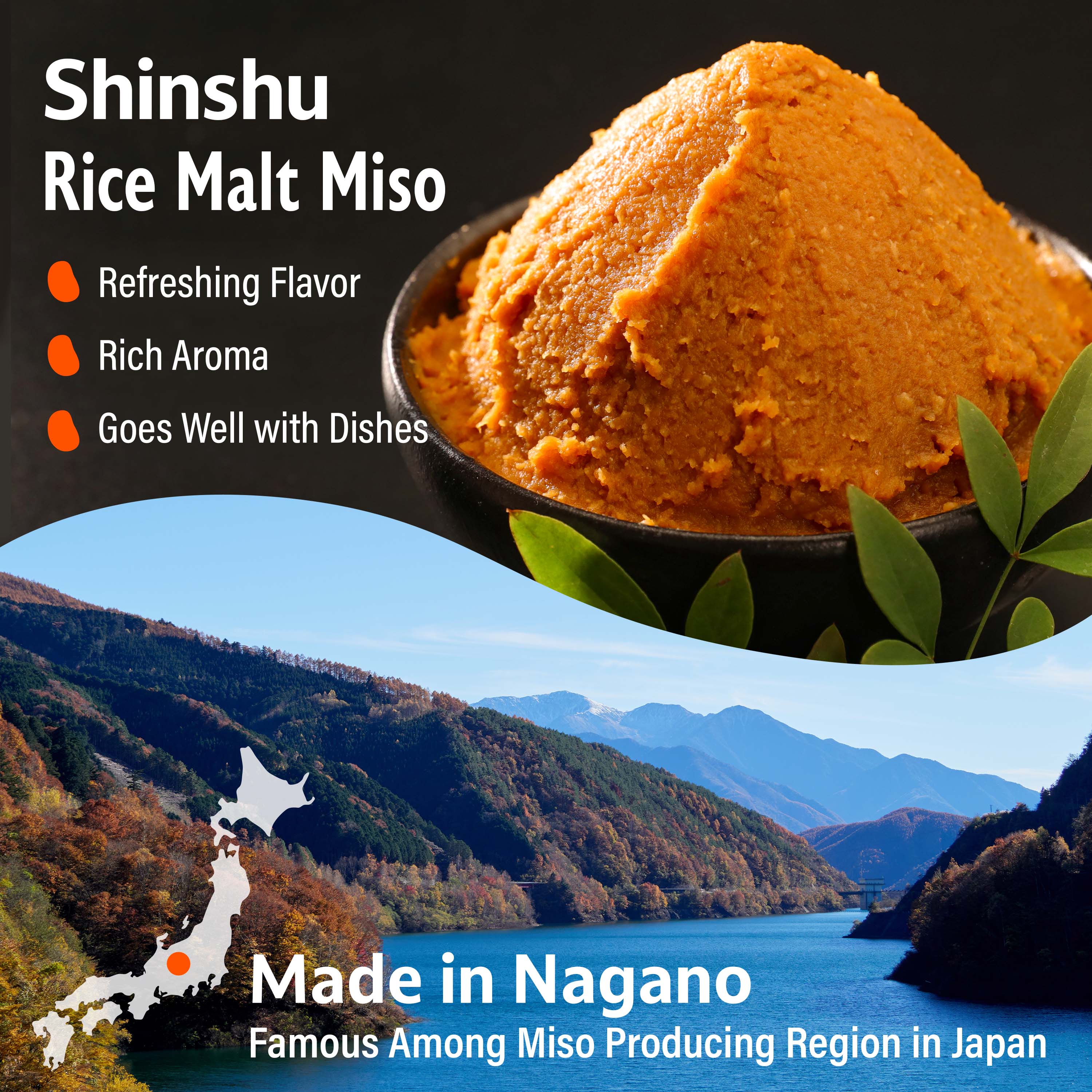 Dry Miso Powder Seasoning 100g(3.52oz) - Image 4