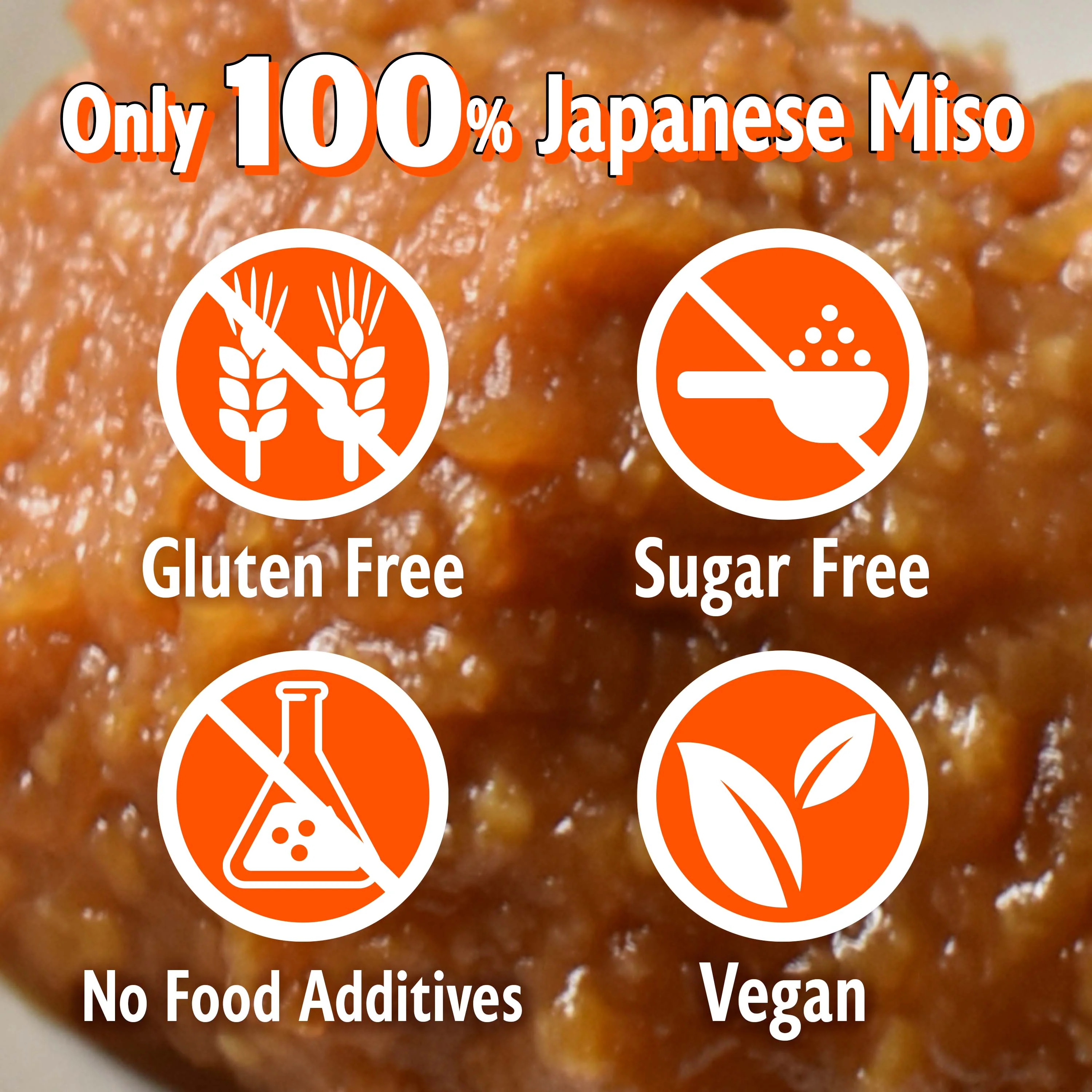 Dry Miso Powder Seasoning 100g(3.52oz) - Image 5