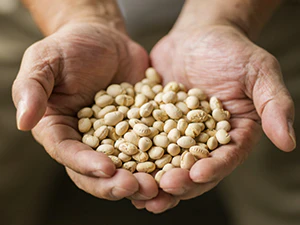 Dry Miso Powder Seasoning 100g(3.52oz) - Image 7