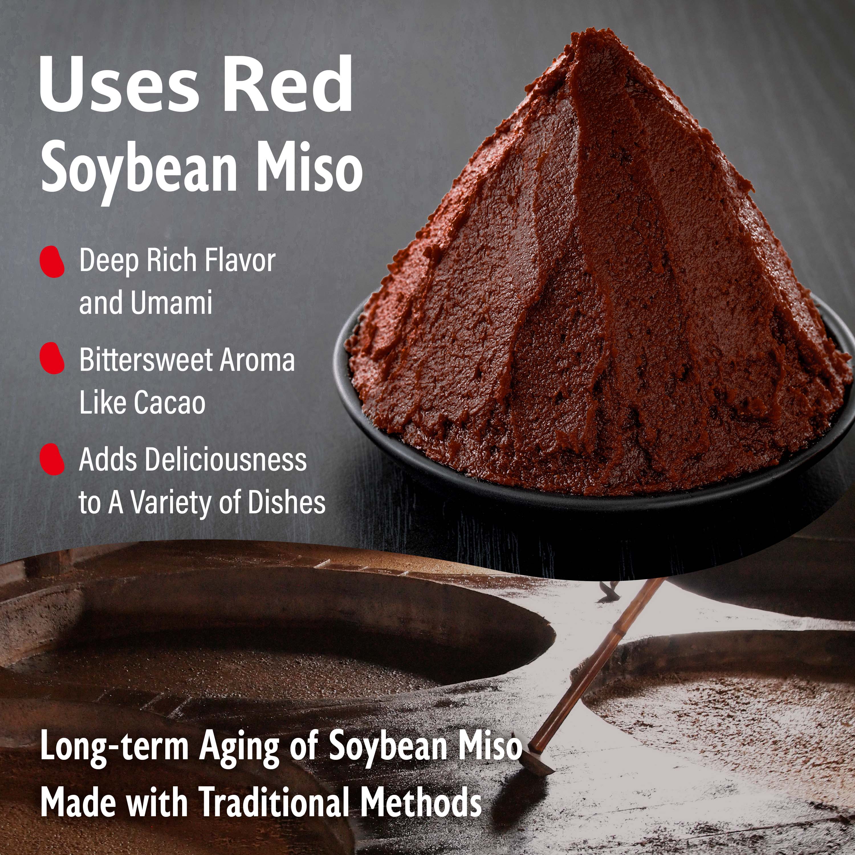 Dry Red Miso Powder Seasoning 90g(3.17oz) - Image 4