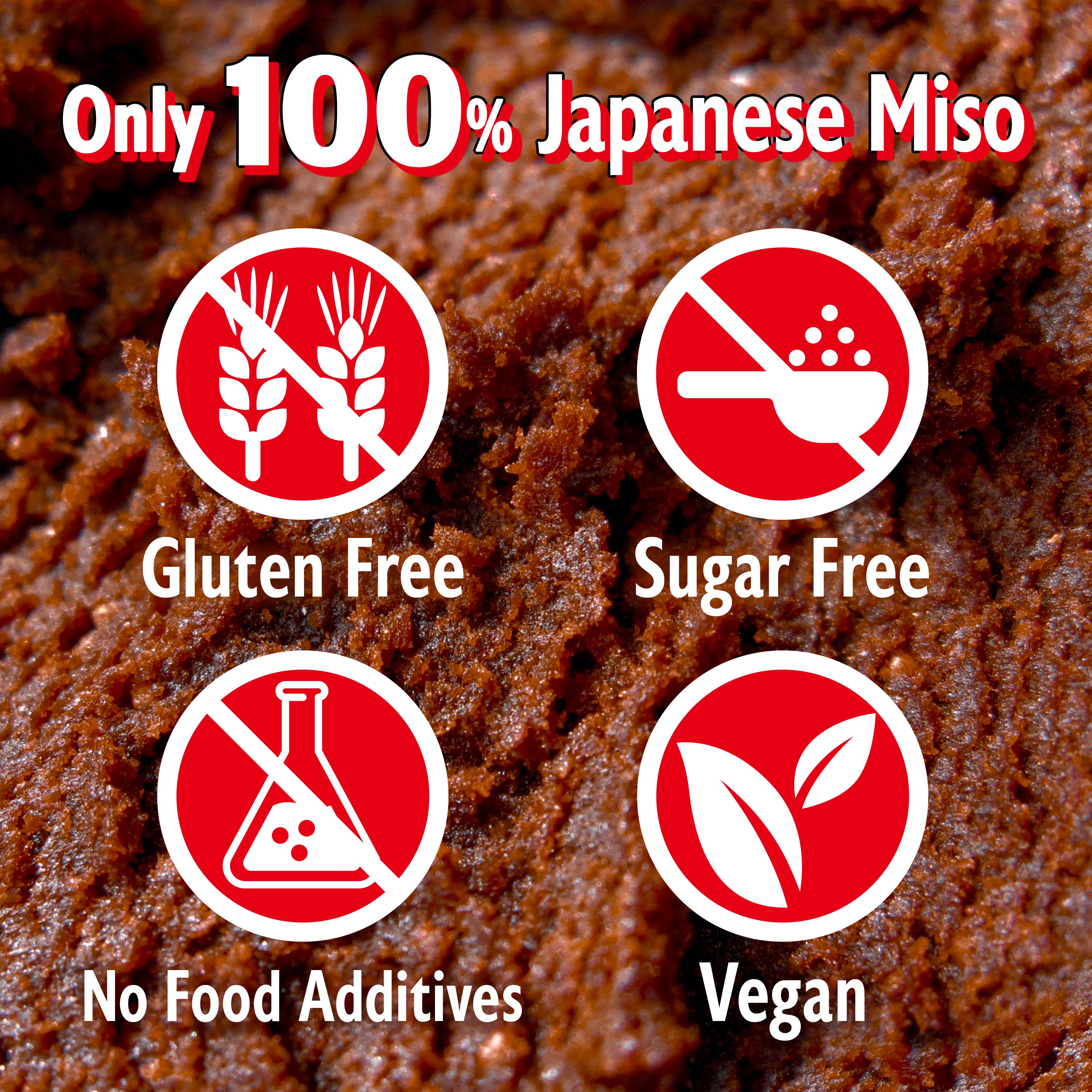 Dry Red Miso Powder Seasoning 90g(3.17oz) - Image 5
