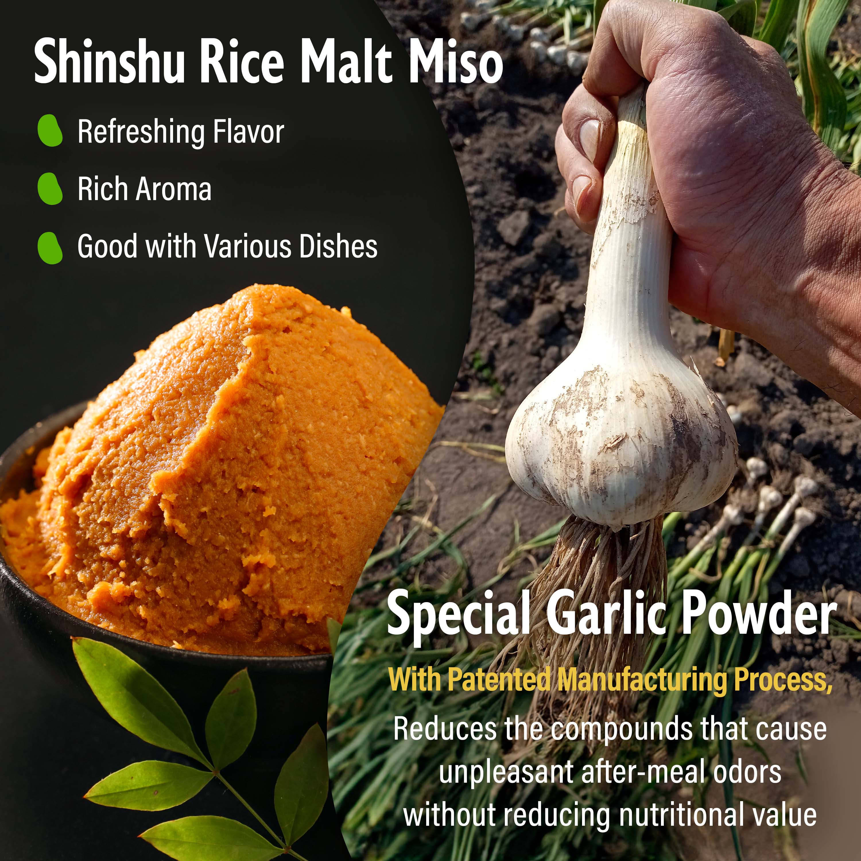 Garlic Miso Powder Seasoning 90g(3.17oz) - Image 4