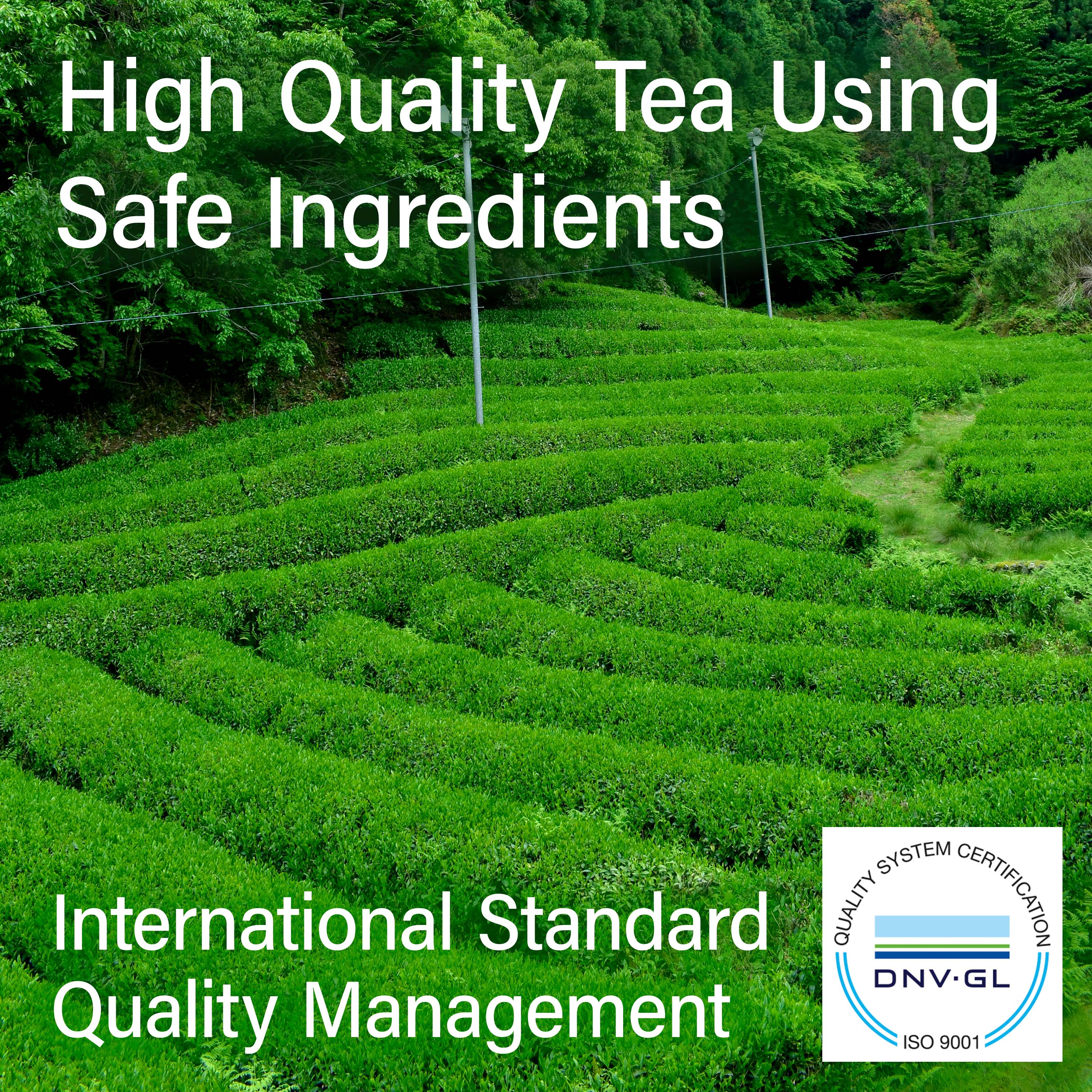 Genmaicha Green Tea with Matcha (Tea Bags) 3gx 60Bags - Image 5