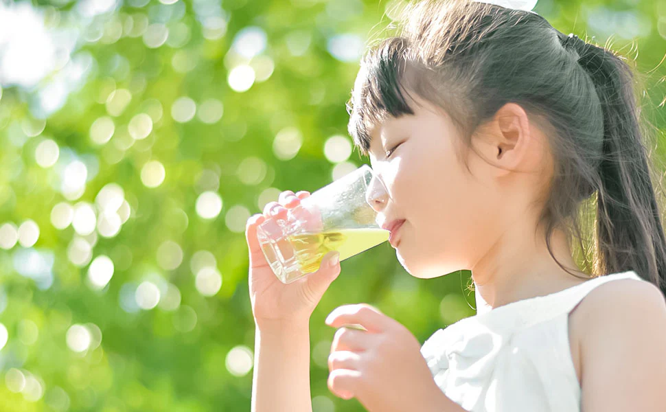 Genmaicha Green Tea with Matcha (Tea Bags) 3gx 60Bags - Image 9