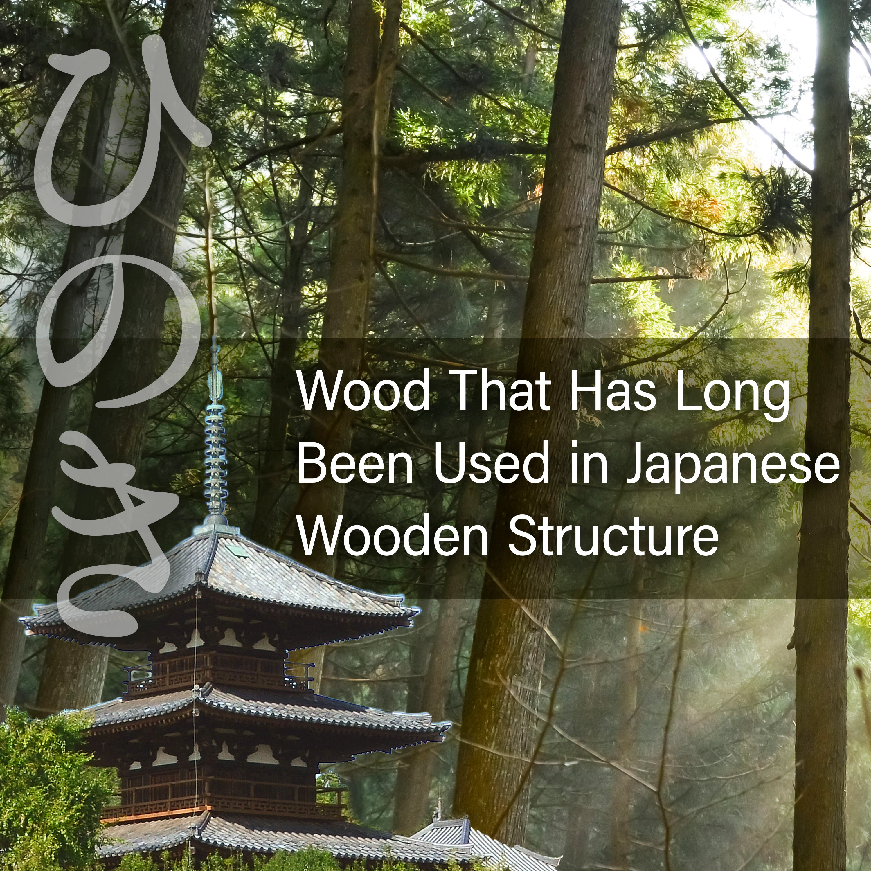 Hinoki Cutting Board - Small - Image 10