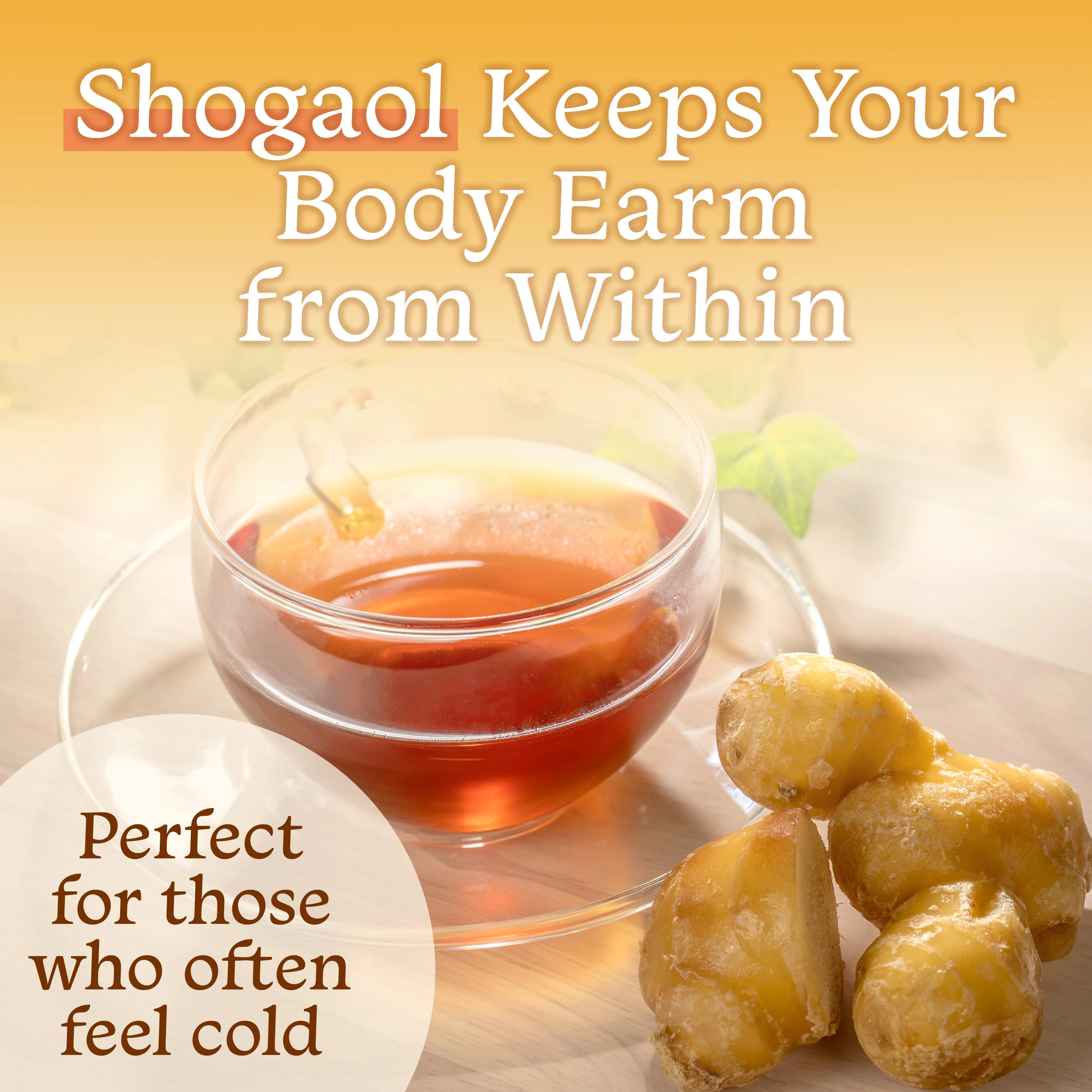 Honey Ginger Black Tea - Image 8