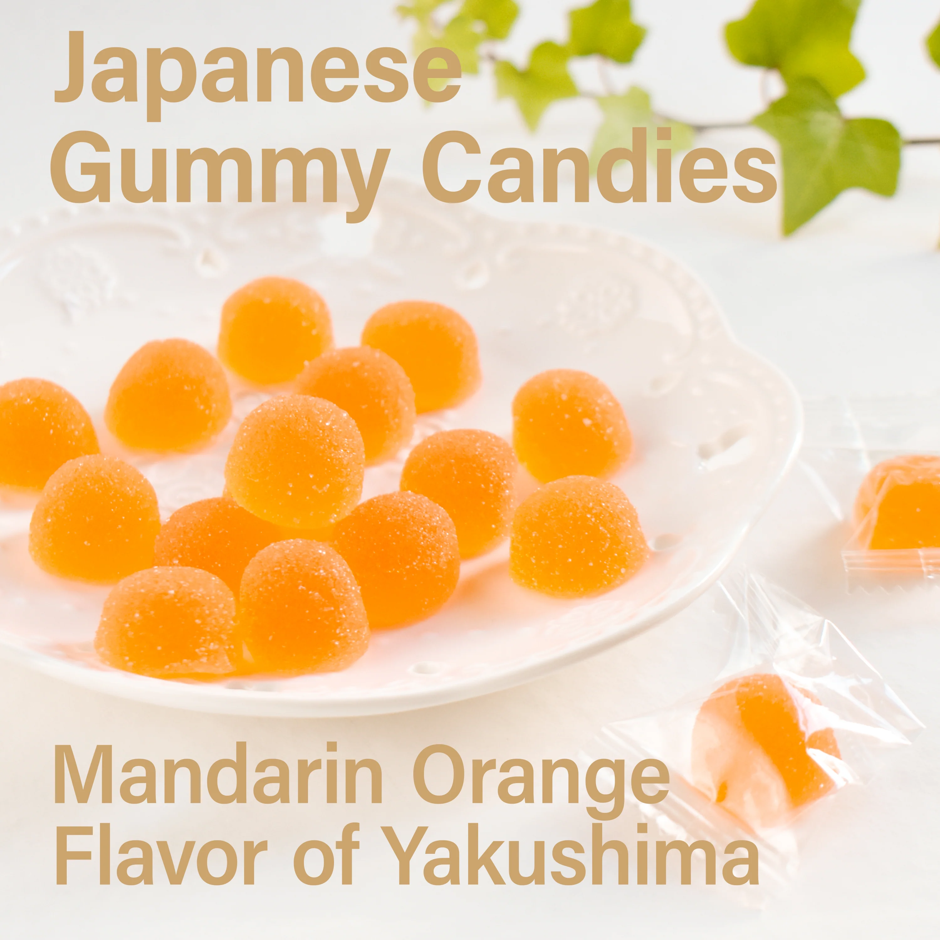 Japanese Candy (Orange Flavor) 140g(4.94oz) - Image 4