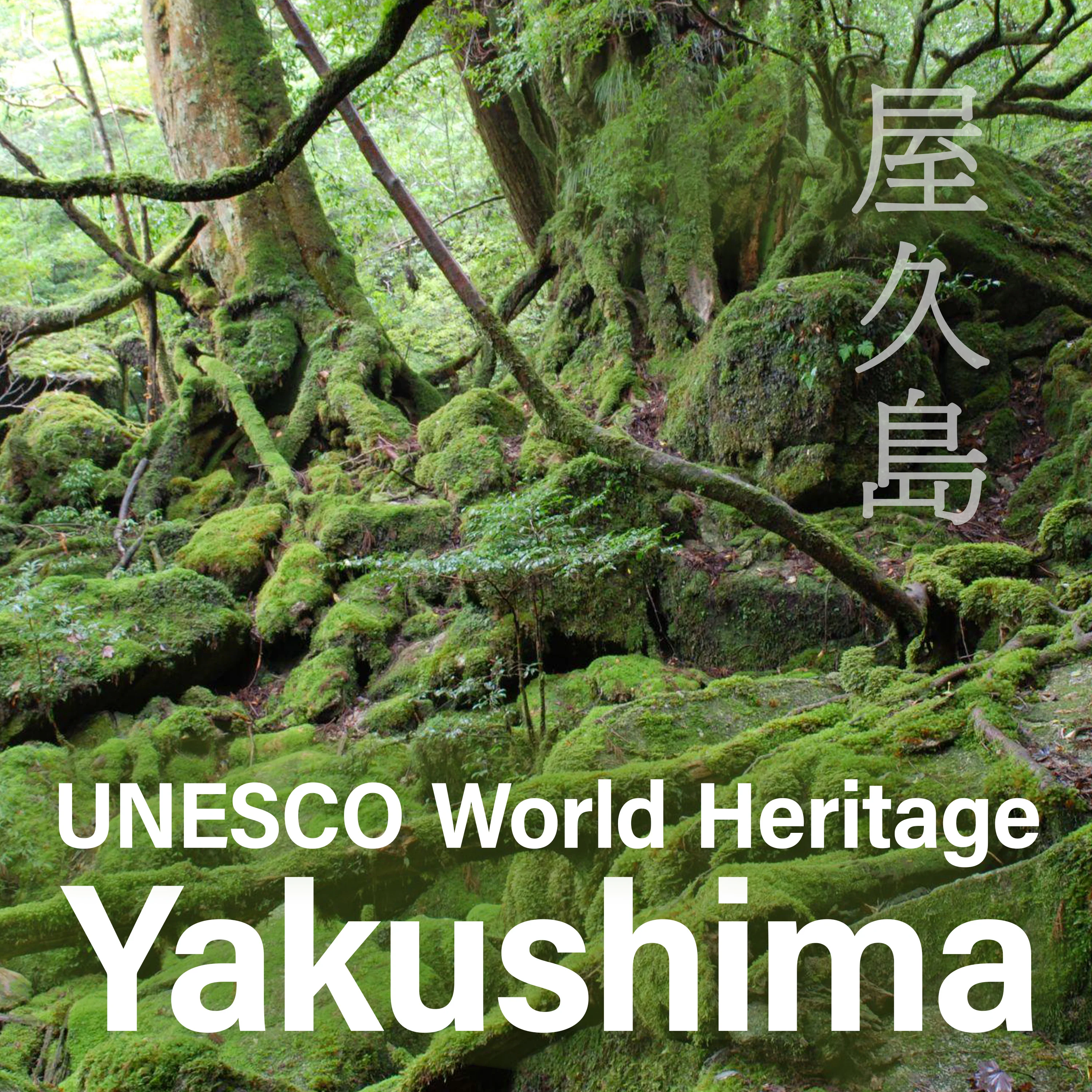 Japanese Candy (Orange Flavor) 140g(4.94oz) - Image 5