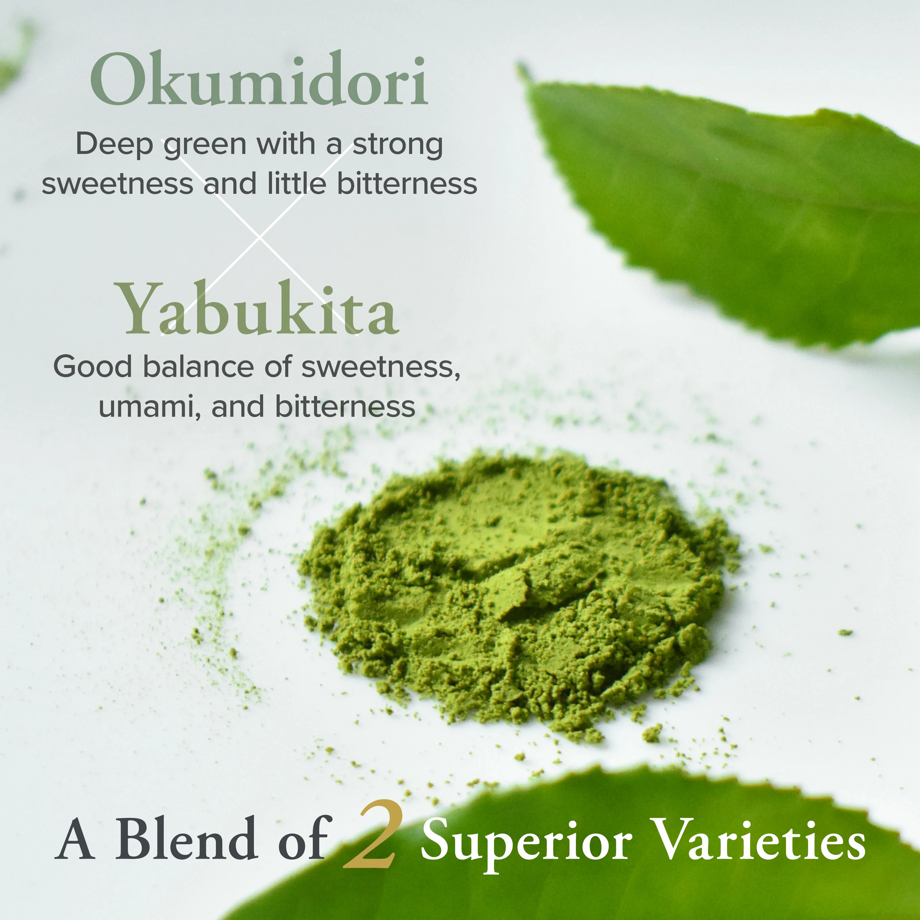 Uji Matcha USUGUMO - Image 7