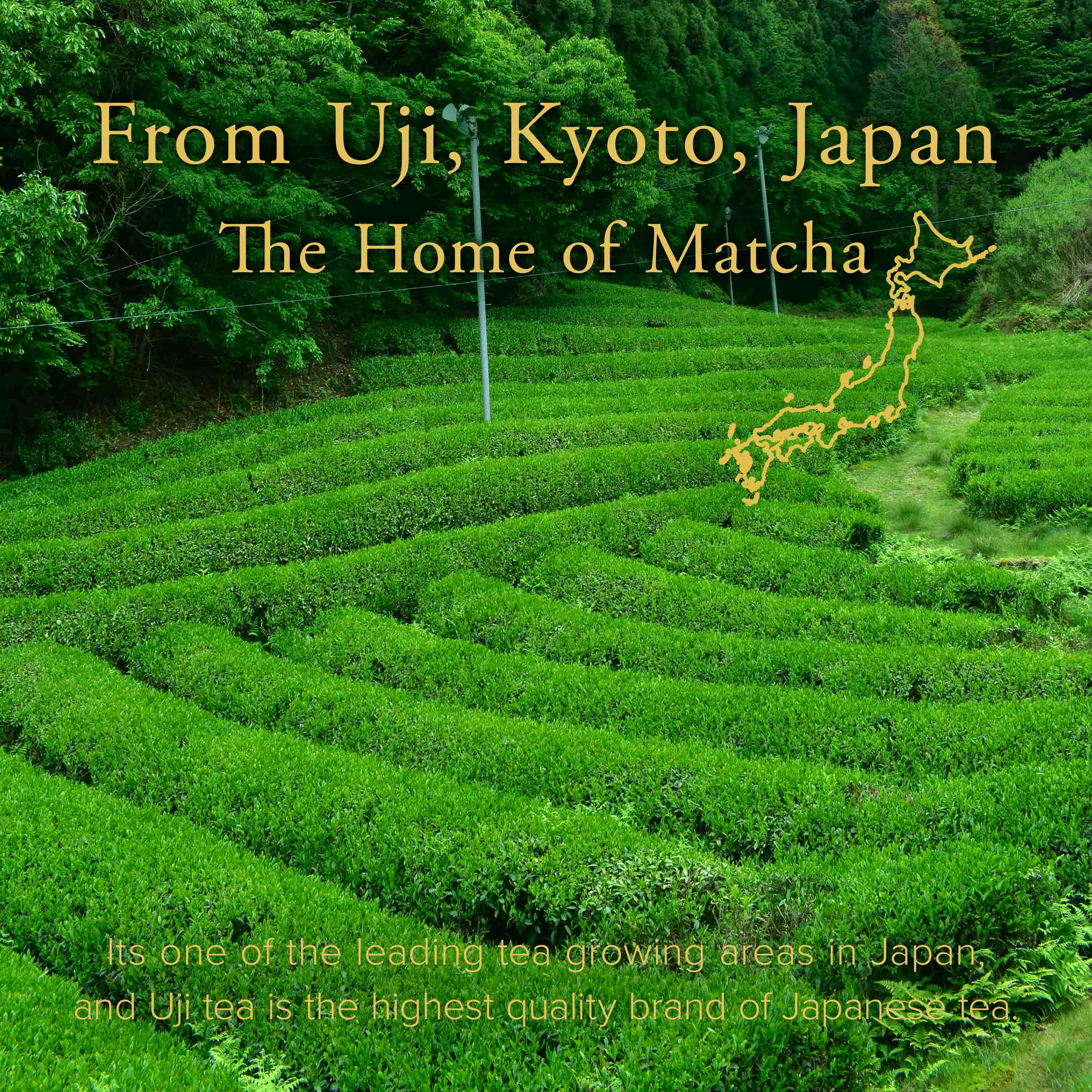 Uji Matcha USUGUMO - Image 6