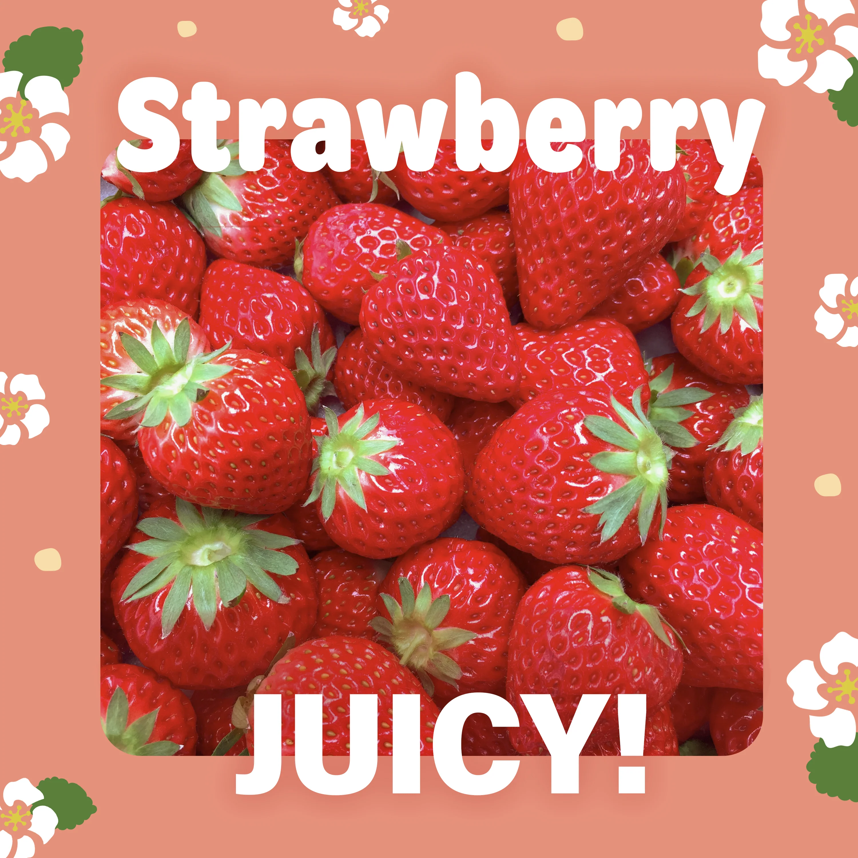 Jelly Fruit Mochi (Juicy Strawberry) 300g(10.58oz) - Image 4