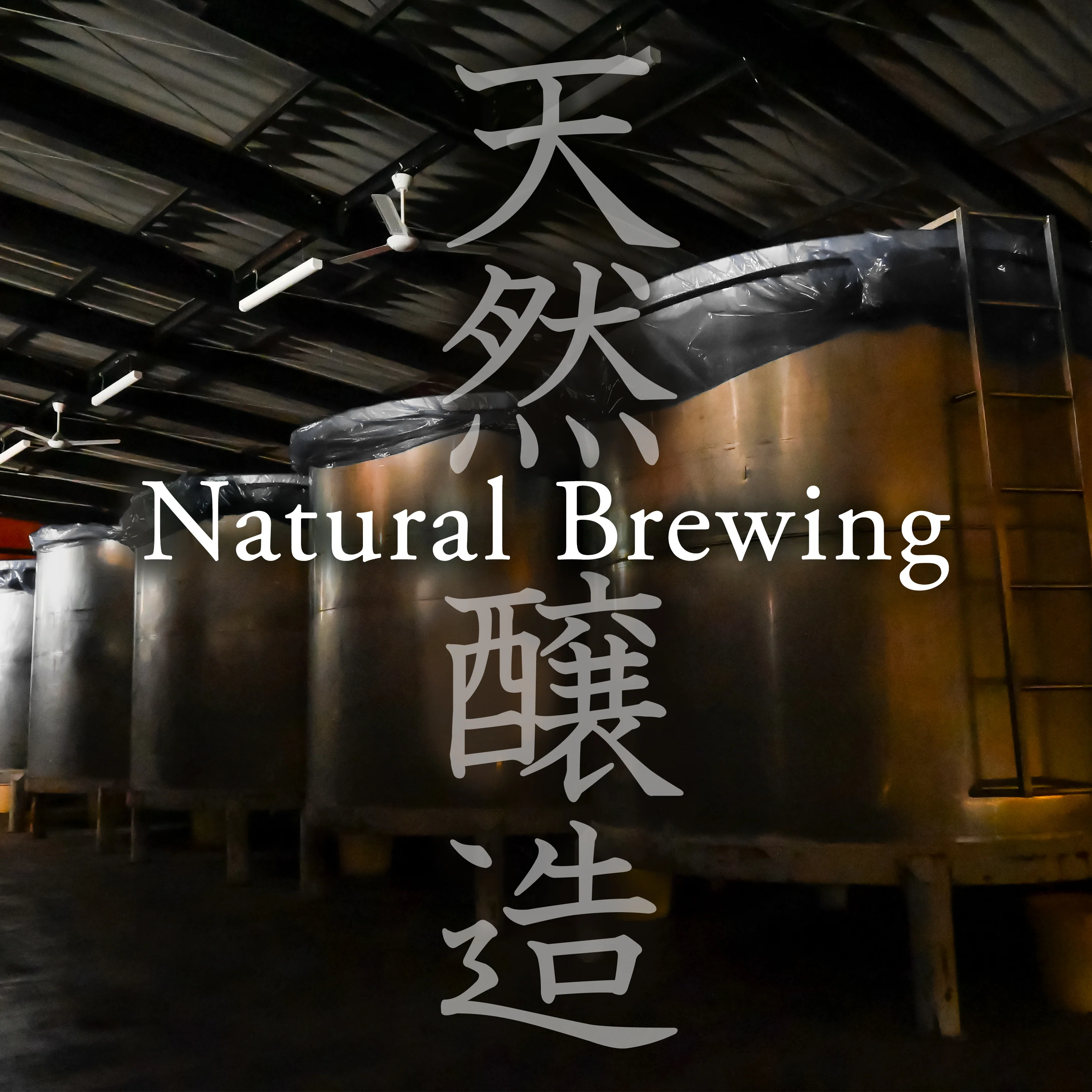 Miso Paste Malted Rice 300g(10.58oz) - Image 3