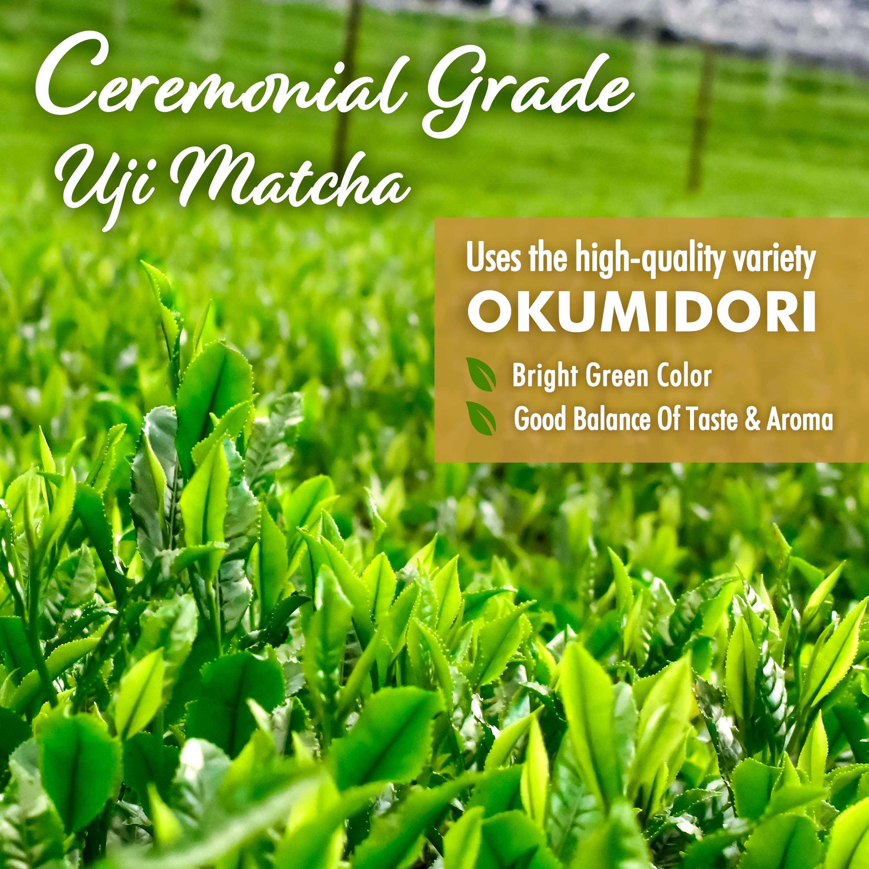 Oat Milk Matcha Latte Powder - Image 5