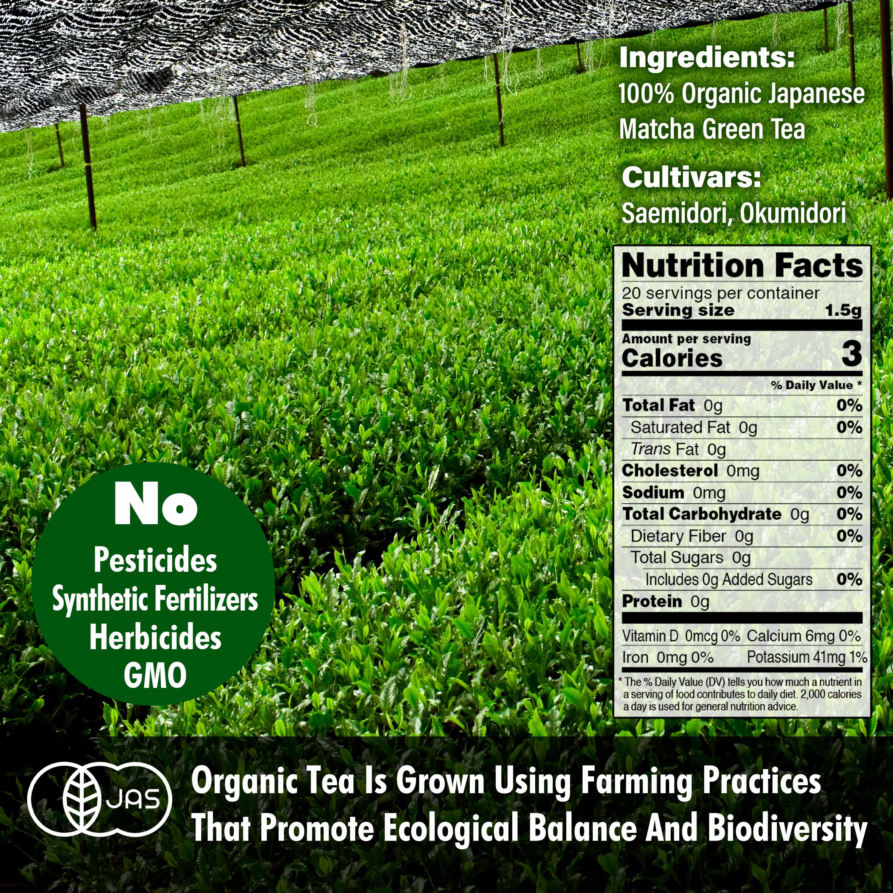 Organic Ceremonial Grade Matcha BI - Image 8