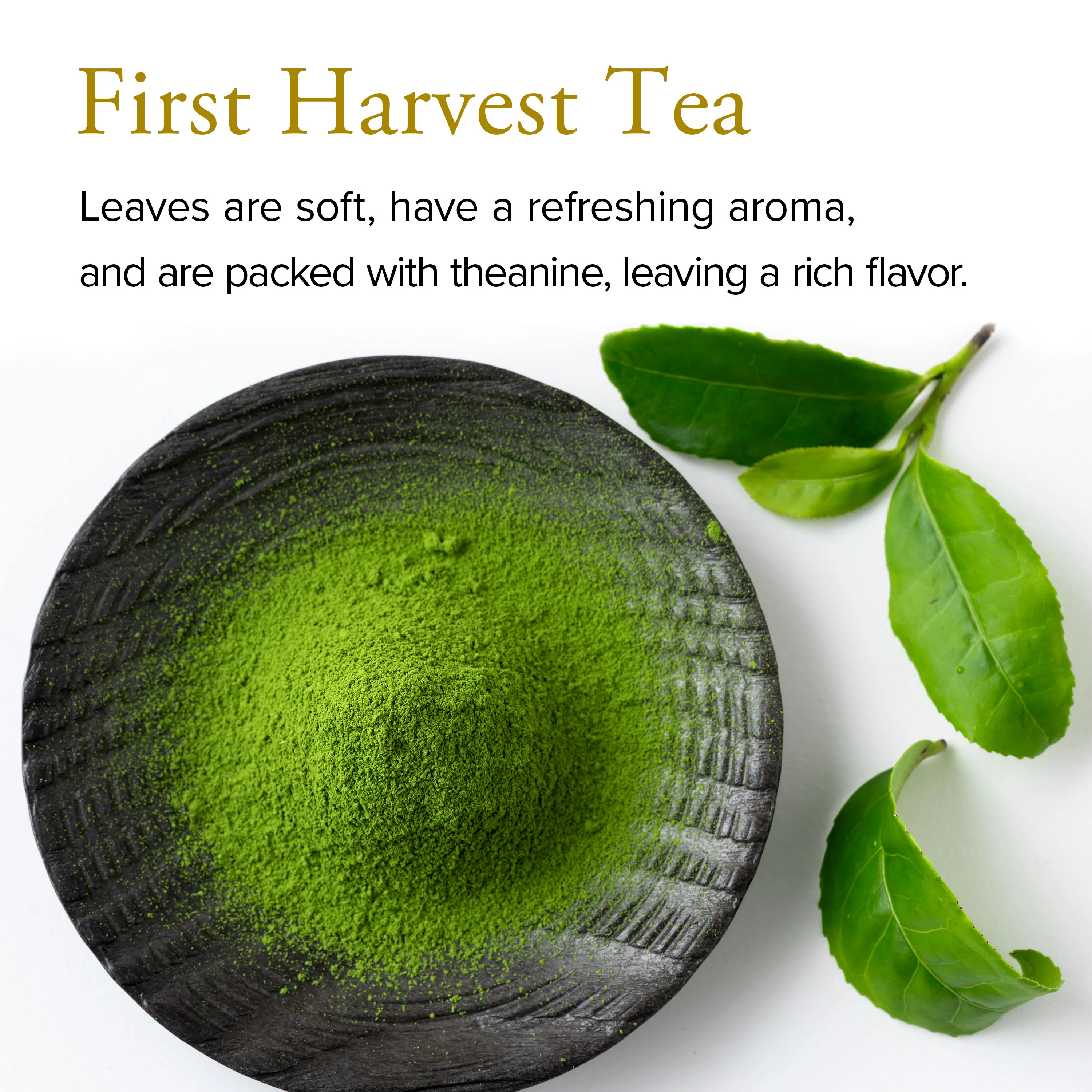 Organic Ceremonial Grade Matcha Mai - Image 3