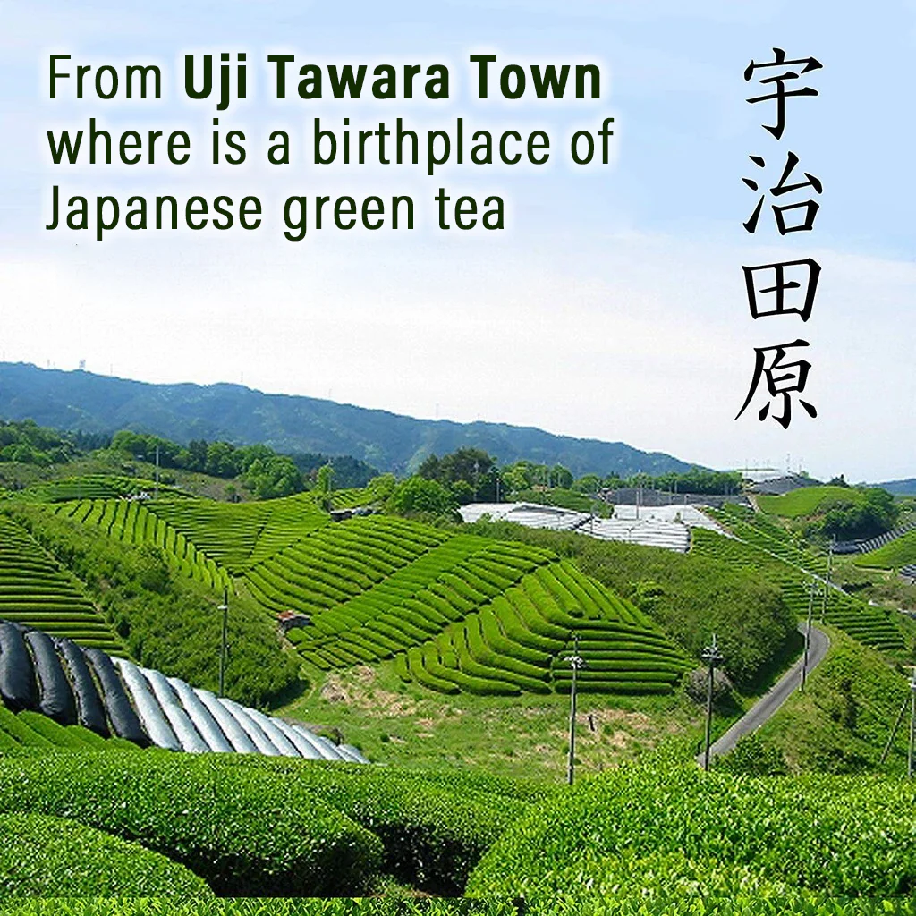 Organic Matcha Green Tea With Sugar 200g - Image 4