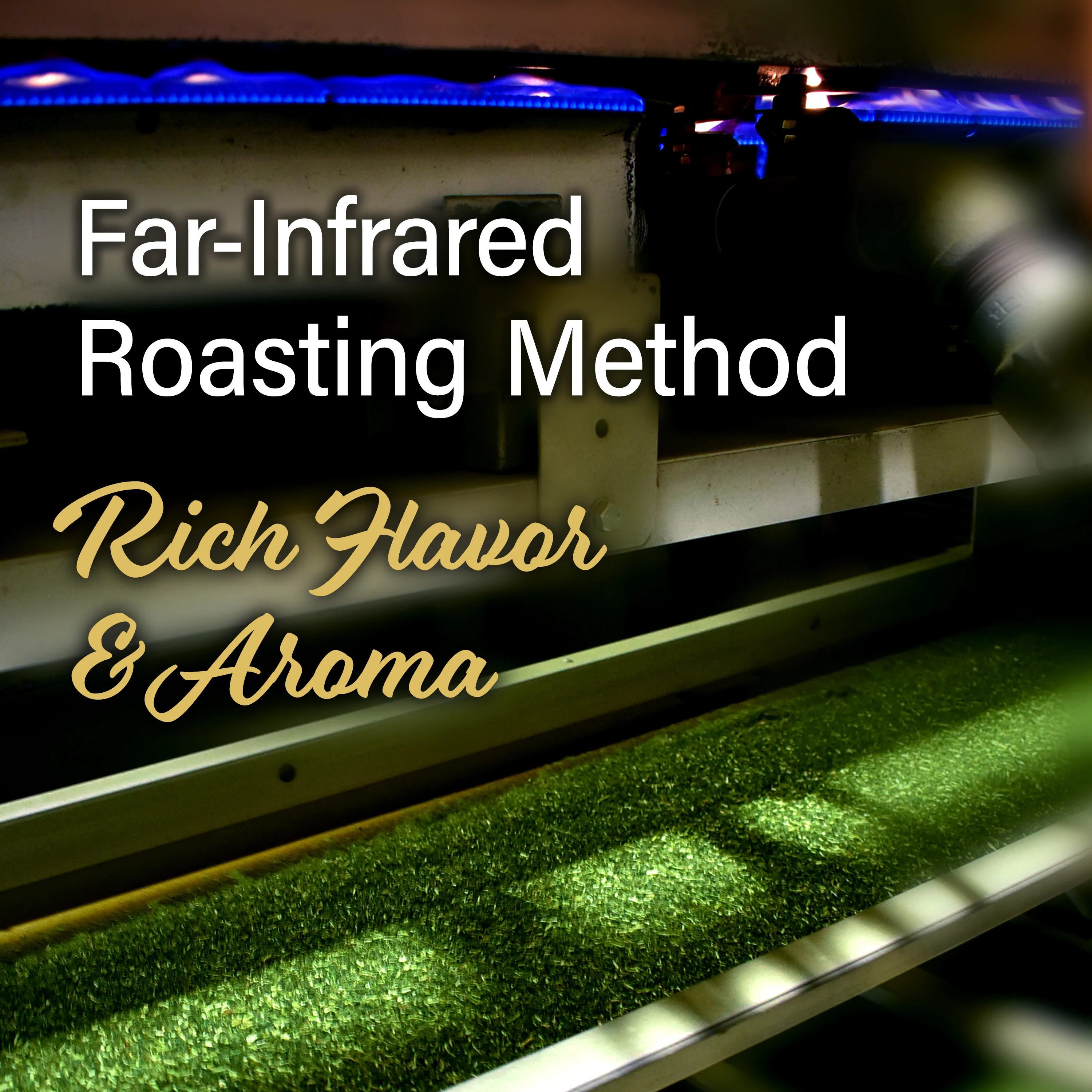 Organic Sencha Green Tea (Loose Leaf) - Image 6