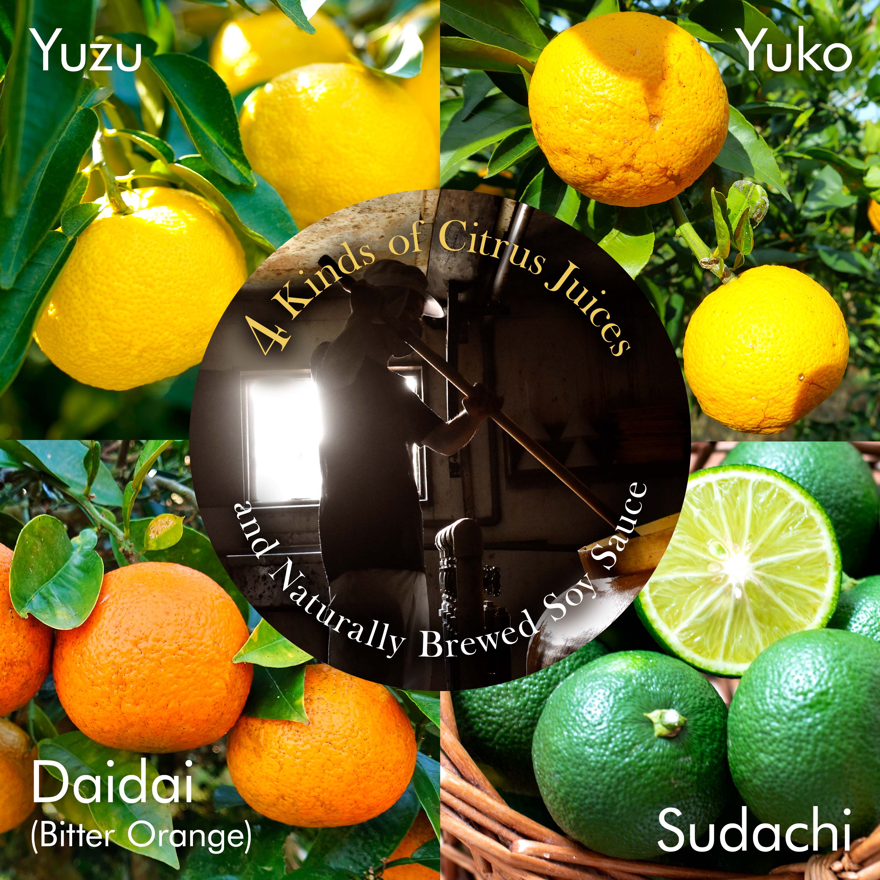 Ponzu Sauce (Yuzu Blend) 300ml(10.14floz) - Image 5