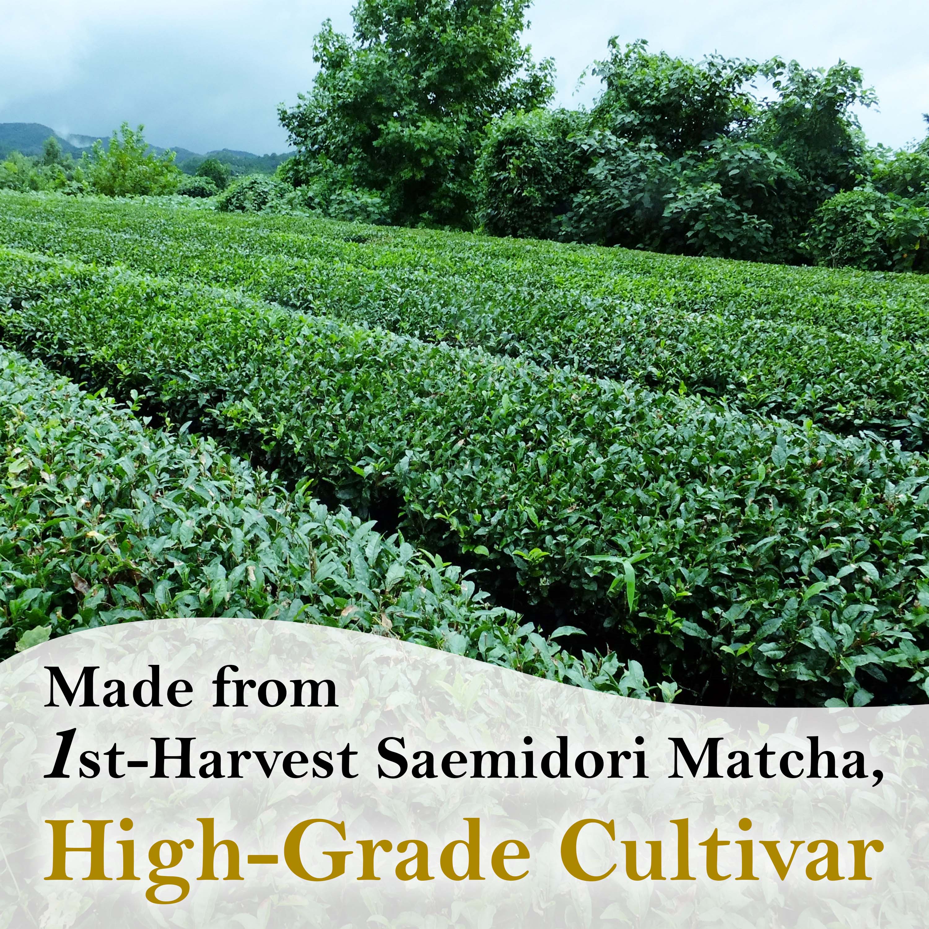 Pure Matcha Paste 100g(3.52oz) - Image 4