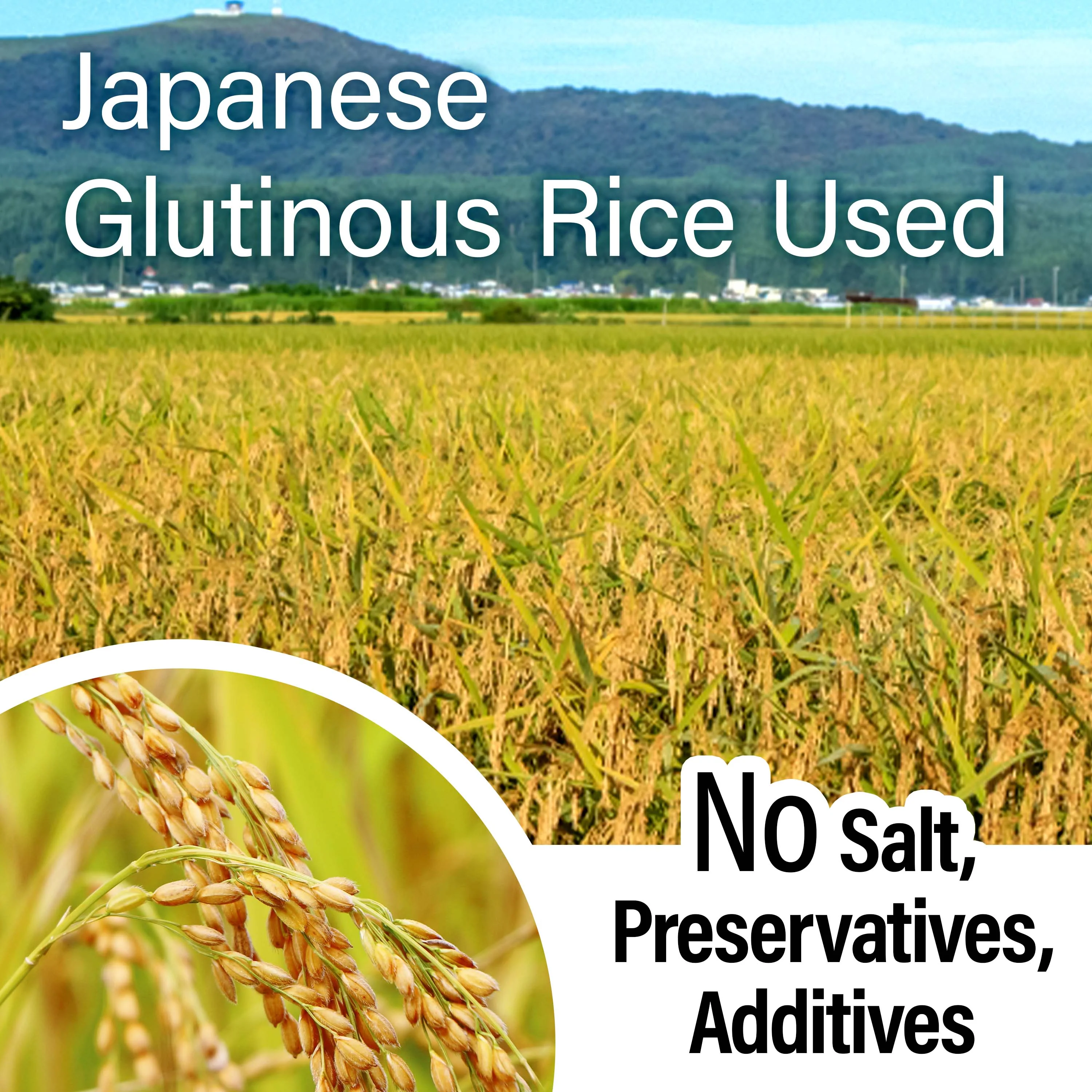 Rice Cake Mochi (Round) 180g(6.3oz) - Image 4