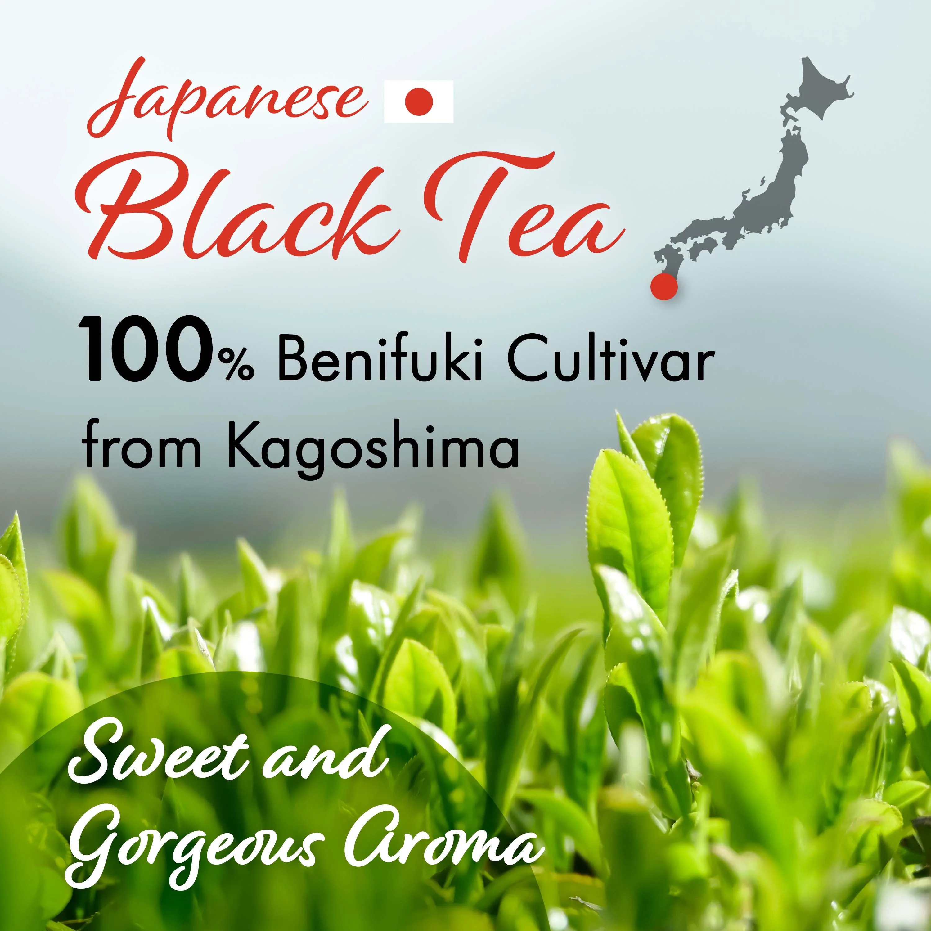 Sakura Black Tea (Loose Leaf) 80g(2.82oz) - Image 4