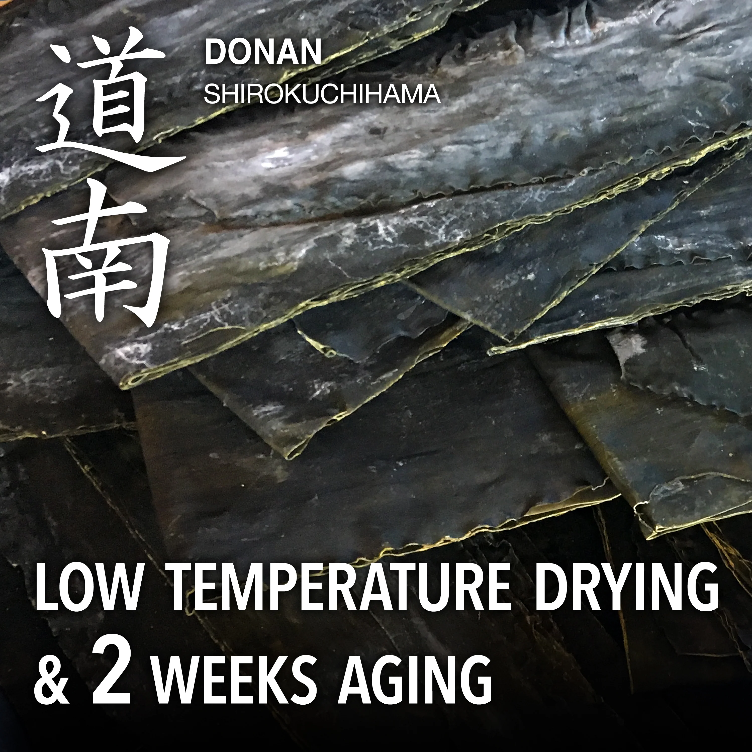 Salted Kombu 100g(3.5oz) - Image 5