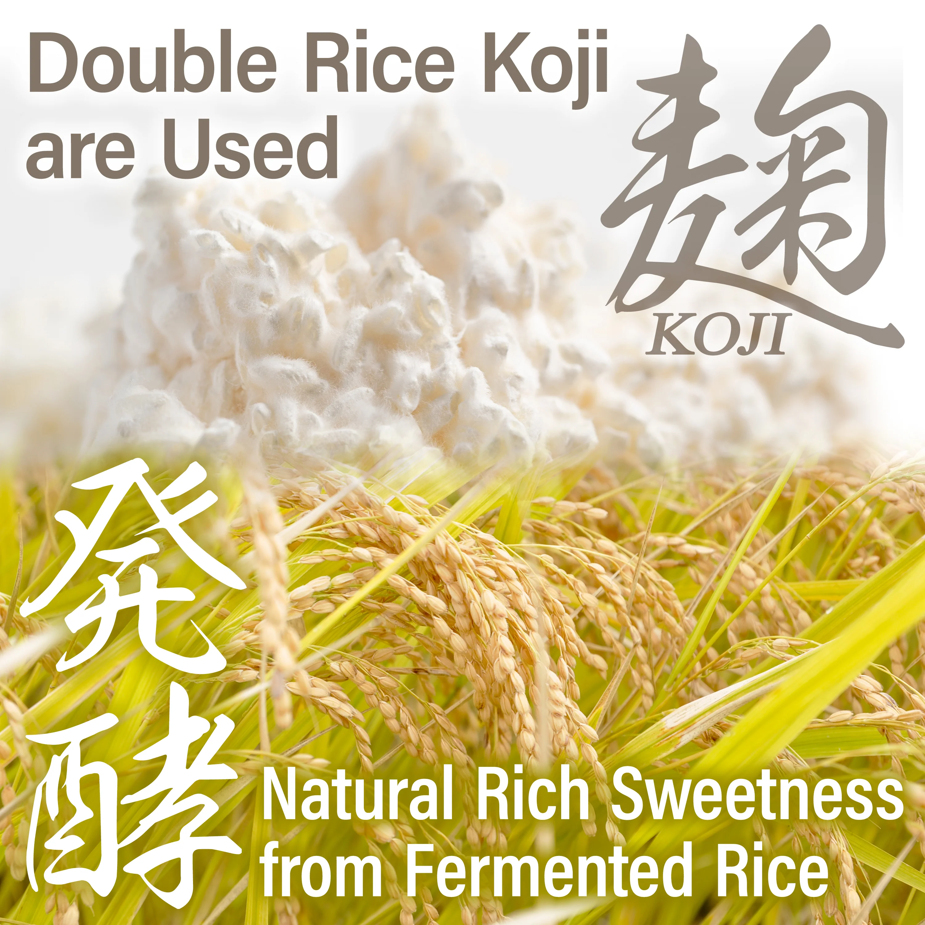 White Miso Paste with Malted Rice 350g(12.35oz) - Image 4